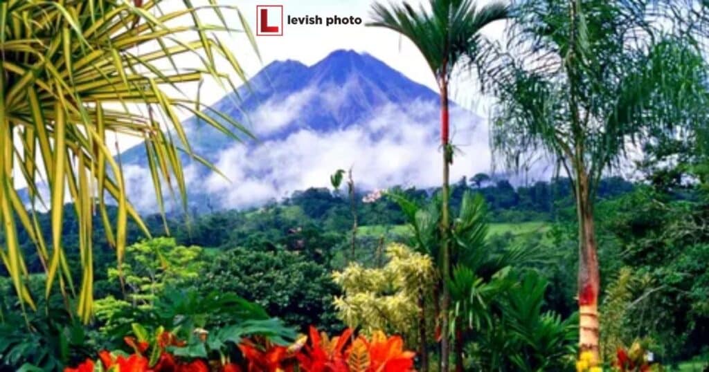 El Yunque National Forest: A Tropical Paradise