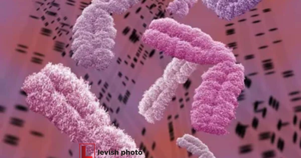 How to Capture a photograph of an individual's chromosomes?