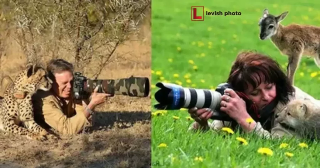 Impact of the Wildlife Photographer's Tale on Players