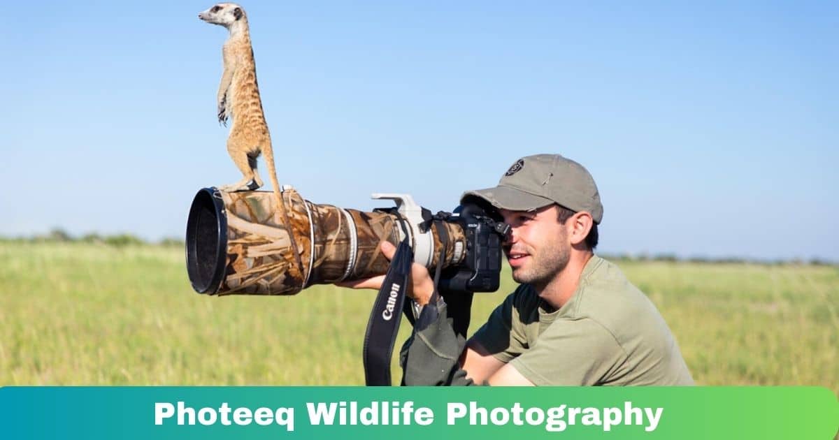 Photeeq Wildlife Photography: Capturing Nature’s Beauty